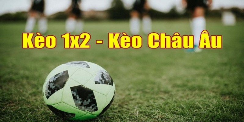 Hướng dẫn cách đọc kèo 1/2 chuẩn xác nhất