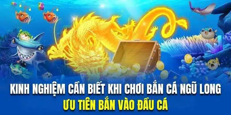 Chiến thuật săn ngư bách thắng cho bạn