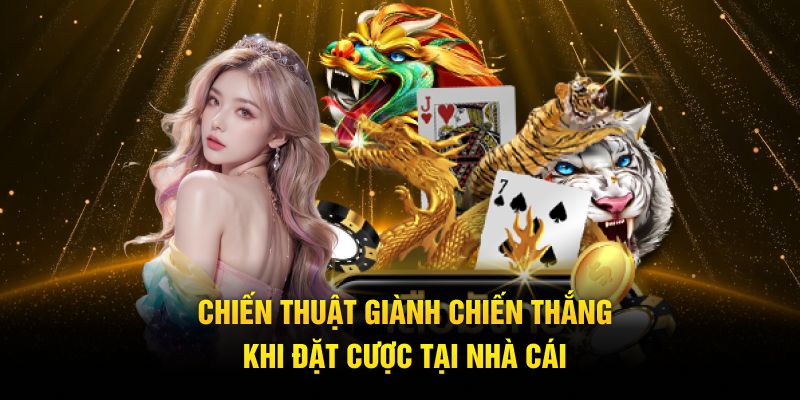 Bí kíp chơi rồng hổ one88 thắng đậm 