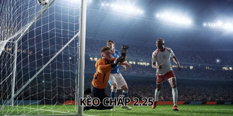 Cẩm nang bắt kèo từ cao thủ chuyên nghiệp