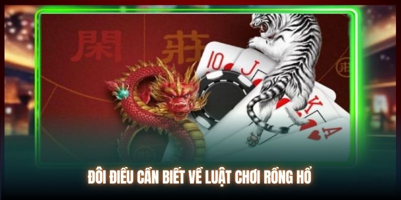 Luật chơi rồng hổ chuẩn xác cho người mới