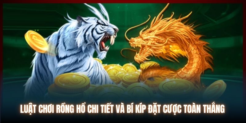 Luật Chơi Rồng Hổ Chi Tiết Cho Hội Viên Mới Trải Nghiệm
