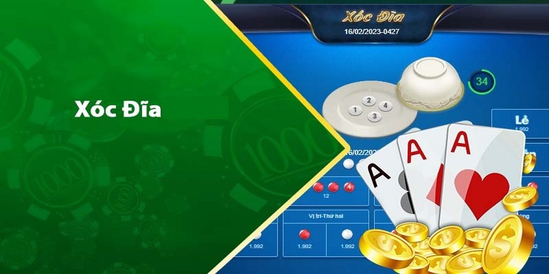 Giới thiệu về bát hình xóc đĩa