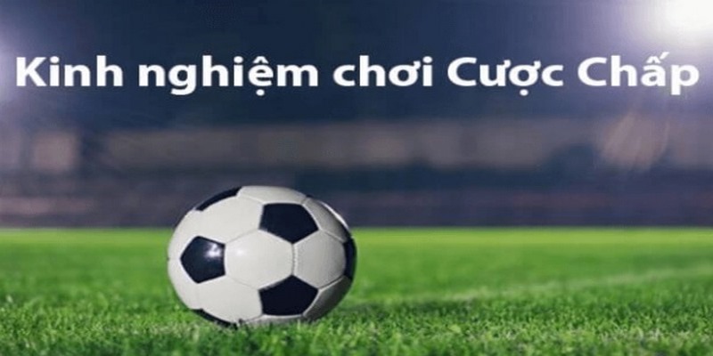 Kinh nghiệm cá độ từ chuyên gia soi kèo chấp
