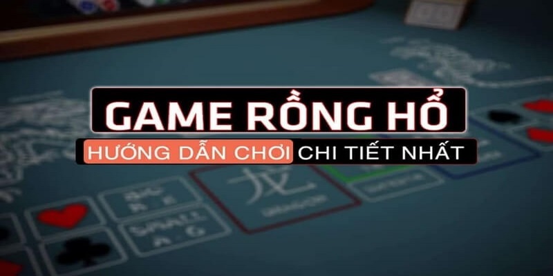 Một vài lưu ý cần nhớ khi tham gia Rồng Hổ